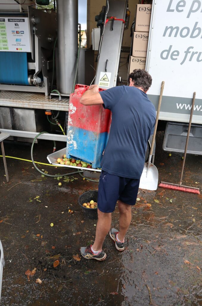 le pressage des pommes de l'écomusée de la baie pour obtenir