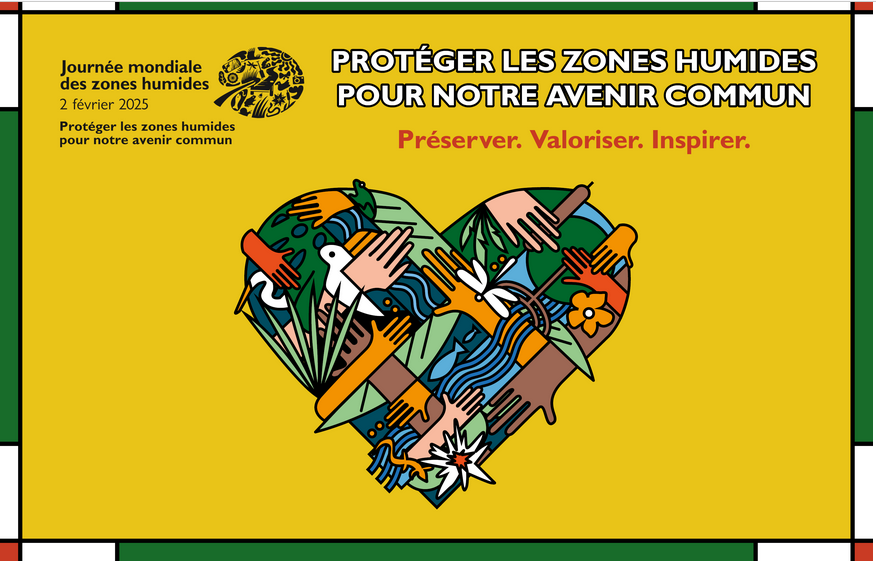 Affiche de présentation de la journée des zones humides 2025 avec le titre : "protégez les zones humides pour notre avenir commun"