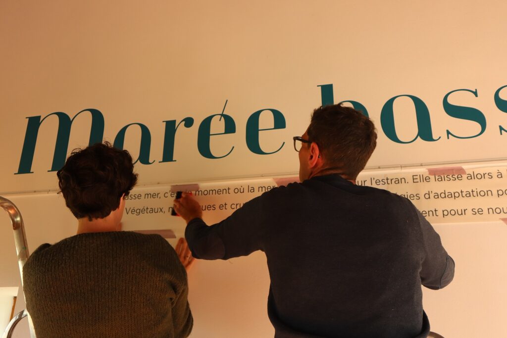 Installation des lettrages lors du montage de l'exposition 2025