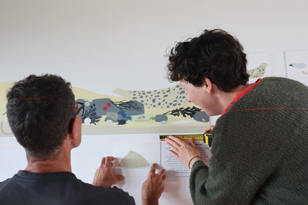 Mise en place des panneaux pour le montage de l'exposition 2025