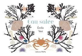Couverture du livre Eau Salée d'Emilie Vast