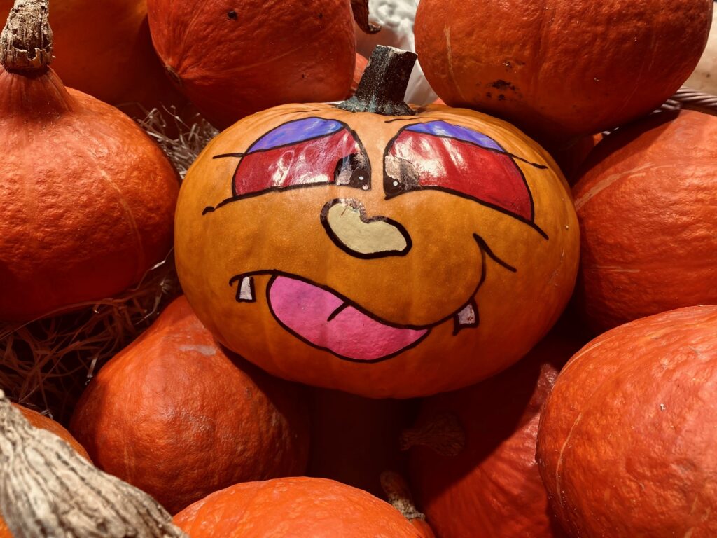 Tas de citrouilles dont une décorée pour Halloween
