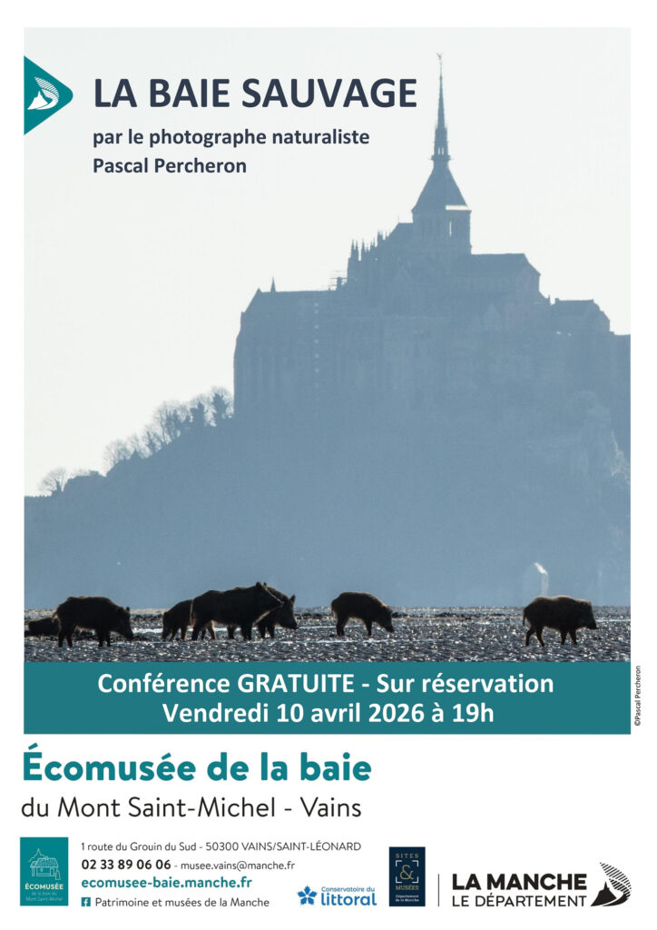 Affiche de la conférence sur la baie sauvage du 10 avril 2026 montrant un sanglier