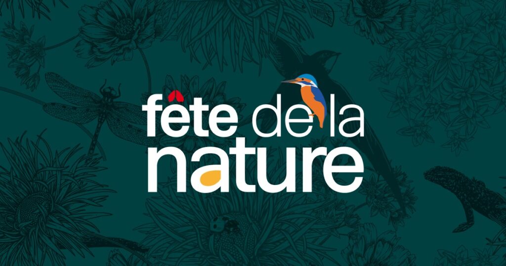 présentation de la fête de la nature avec un martin pêcheur qui est perché sur les lettres