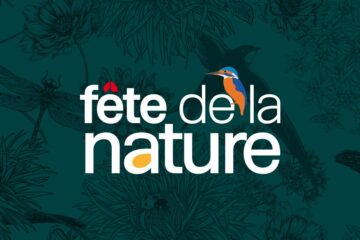 présentation de la fête de la nature avec un martin pêcheur qui est perché sur les lettres
